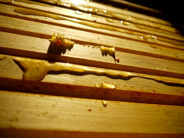 Loading Image