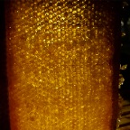 P1130967