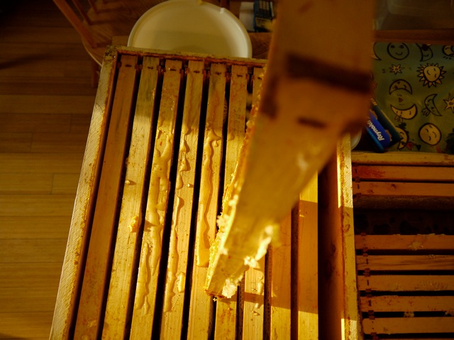Loading Image